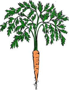 carrot fullcolor 232x300 1 5b69iN.tmp