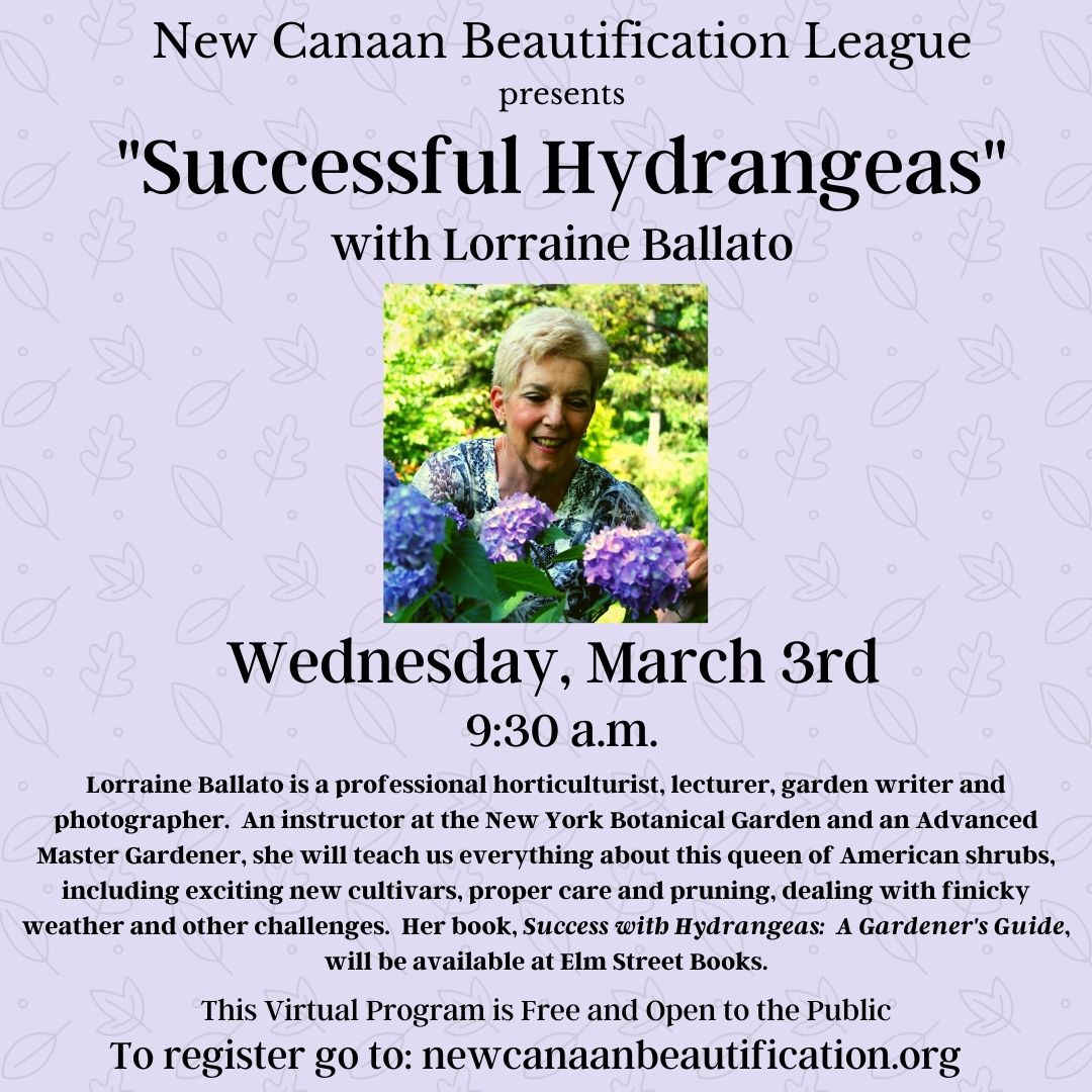 new canaan beautification league presents 1 BzbFXY.tmp