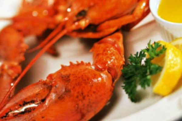 Image of a cooked lobster on a white plate with lemon slides, butter sauce and parsley - for the New Canaan 2022 Rotary Club Lobsterfest