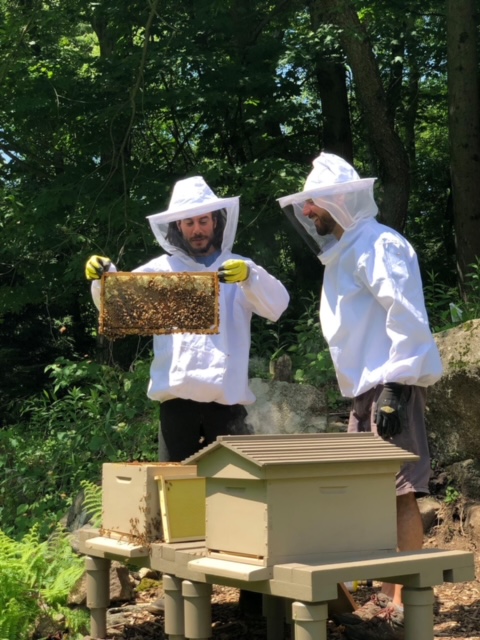 Back to Nature Beekeeping ydEHpK.tmp