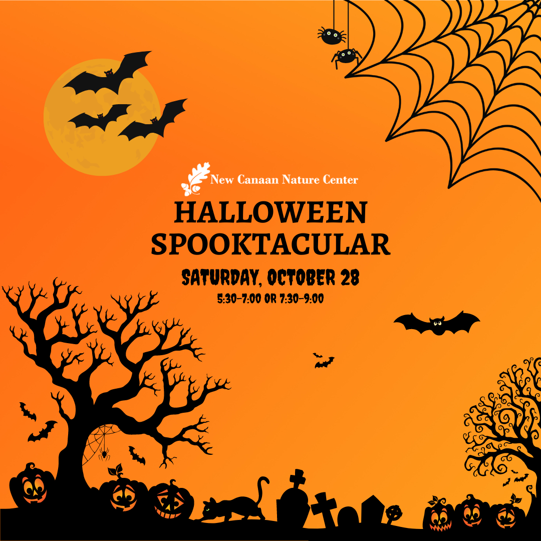 Halloween Spooktacular Instagram Post Square BM3HN5.tmp