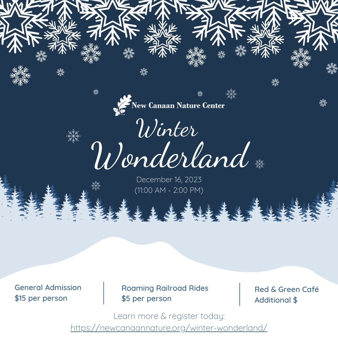 Winter Wonderland 2023 umxEUg.tmp