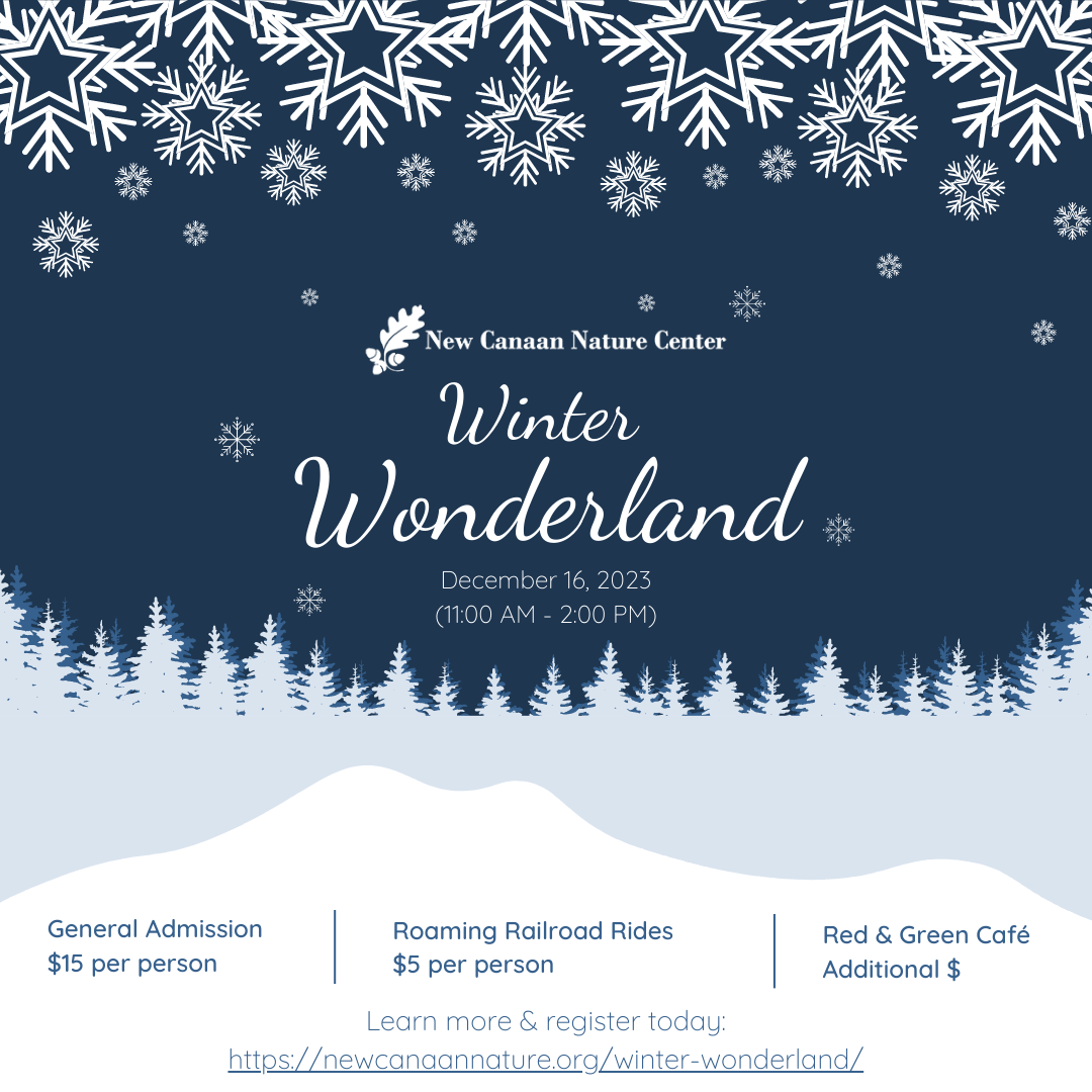 Winter Wonderland nwHfFL.tmp