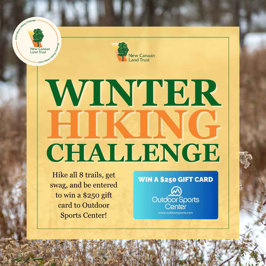 WinterHikingChallenge SmF8T0.tmp